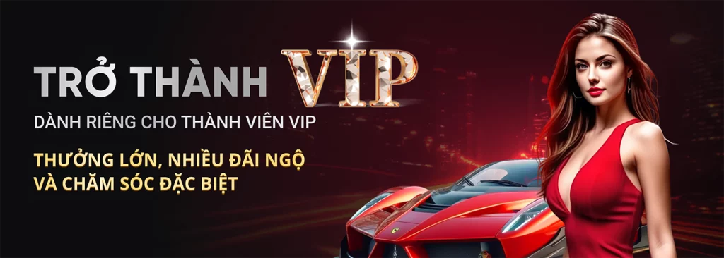 img vip club